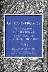 Book cover of Gift and Promise by Stephen Hitchcock