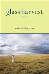 Book cover of Glass Harvest by Amie Whittemore