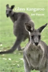 Book cover of Glass Kangaroo by Unknown