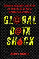 Book cover of Global Data Shock by Robert Mandel