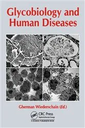 Book cover of Glycobiology and Human Diseases by Gherman Wiederschain