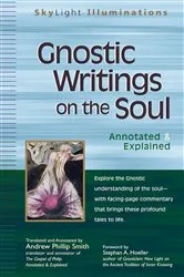 Book cover of Gnostic Writings on the Soul by Andrew Phillip Smith