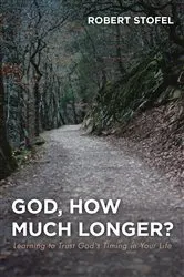 Book cover of God, How Much Longer? by Robert Stofel
