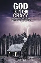 Book cover of God Is in the Crazy by Dr. Chet Weld