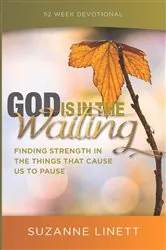 Book cover of God Is In The Waiting by Suzanne Linett