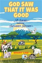 Book cover of God Saw That It Was Good by Brant Law
