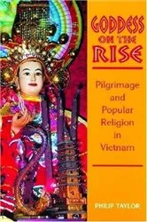 Book cover of Goddess on the Rise by Philip Taylor