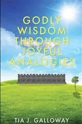 Book cover of Godly Wisdom through Joyful Analogies by Tia J. Galloway