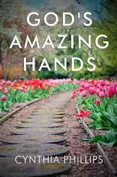 Book cover of God's Amazing Hands by Cynthia Phillips
