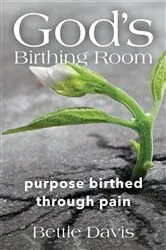 Book cover of God's Birthing Room by Bettie Davis