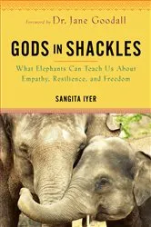 Book cover of Gods in Shackles by Sangita Iyer