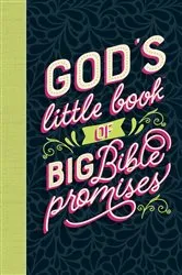 Book cover of God's Little Book of Big Bible Promises by Katherine J. Butler