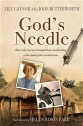 Book cover of God's Needle by Lily Gaynor