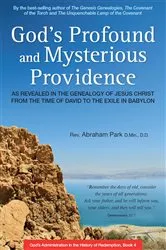 Book cover of God's Profound and Mysterious Providence by Abraham Park