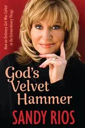Book cover of God's Velvet Hammer by Sandy Rios