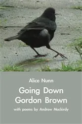 Book cover of Going Down Gordon Brown by Alice Nunn