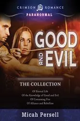 Book cover of Good and Evil by Jackie Leach Scully