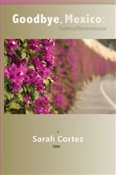 Book cover of Goodbye, Mexico by Sarah Cortez