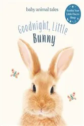 Book cover of Goodnight, Little Bunny by Amanda Wood