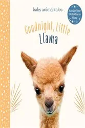 Book cover of Goodnight, Little Llama by Amanda Wood