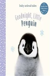 Book cover of Goodnight, Little Penguin by Amanda Wood