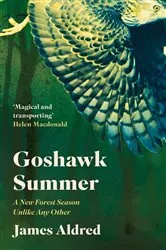Book cover of Goshawk Summer by James Aldred