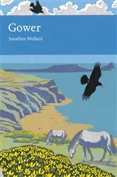 Book cover of Gower by Jonathan Mullard