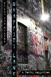 Book cover of Graffiti Lane by Kelly Van Nelson