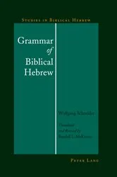 Book cover of Grammar of Biblical Hebrew by Dennis R. Magary