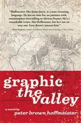 Book cover of Graphic the Valley by Peter Brown Hoffmeister