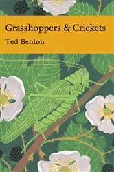 Book cover of Grasshoppers and Crickets by Unknown