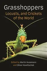 Book cover of Grasshoppers, Locusts, and Crickets of the World by Martin Husemann