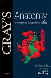 Book cover of Gray's Anatomy E-Book (41st ed.) by Standring PhD, DSc, Susan