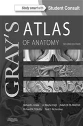 Book cover of Gray's Atlas of Anatomy E-Book (2nd ed.) by Richard L. Drake PhD