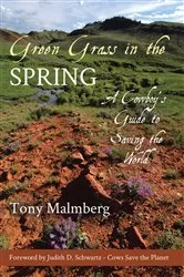 Book cover of Green Grass in the Spring by Tony Malmberg