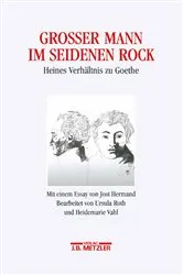 Book cover of Großer Mann im seidenen Rock by Ursula Roth
