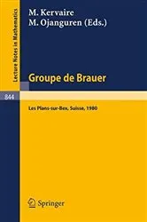 Book cover of Groupe de Brauer by Unknown