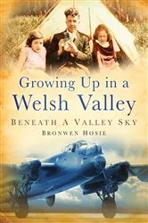 Book cover of Growing Up in a Welsh Valley by Bronwen Hosie