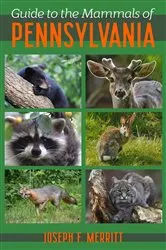 Book cover of Guide to the Mammals of Pennsylvania by Joseph Merritt