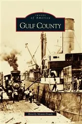Book cover of Gulf County by Beverly Mount-Douds