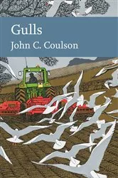 Book cover of Gulls by Unknown