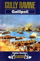 Book cover of Gully Ravine by Stephen Chambers