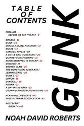 Book cover of Gunk by Saba Sams