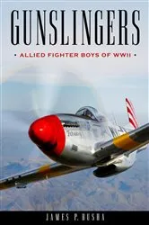 Book cover of Gunslingers by James P. Busha
