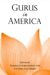 Book cover of Gurus in America by Thomas A. Forsthoefel