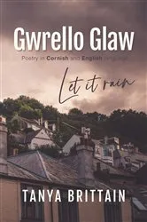 Book cover of Gwrello Glaw by Tanya Brittain
