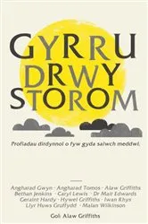 Book cover of Gyrru drwy Storom by Alaw Griffiths