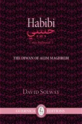 Book cover of Habibi by David Solway