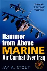 Book cover of Hammer from Above by Jay A. Stout