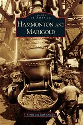 Book cover of Hammonton and Marigold by Robert Criddle